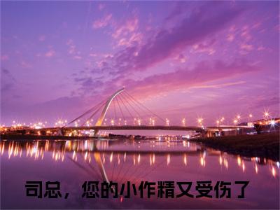 司总，您的小作精又受伤了（简星尘司墨寒）小红书热荐小说-司总，您的小作精又受伤了女生爱看的小说全集资源