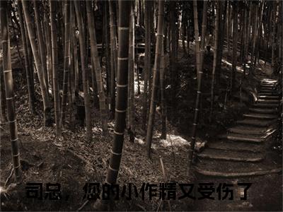 简星尘司墨寒全文免费阅读无弹窗大结局_（司总，您的小作精又受伤了阅读无弹窗）司总，您的小作精又受伤了最新章节列表_笔趣阁