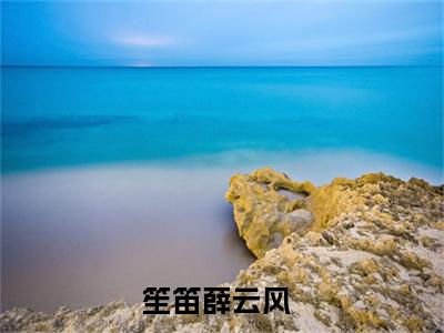 笙笛薛云风最新热门小说-（笙笛薛云风）最新章节免费阅读