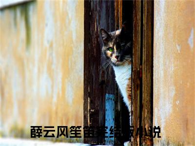 薛云风笙笛知乎小说-薛云风笙笛免费阅读大结局无弹窗