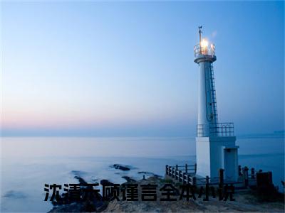沈清禾顾谨言全文(沈清禾顾谨言)小说免费阅读无弹窗大结局_ 沈清禾顾谨言全文无弹窗完整版阅读