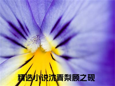 沈青梨顾之砚(沈青梨顾之砚)全文免费阅读大结局_沈青梨顾之砚免费在线阅读_笔趣阁（沈青梨顾之砚）