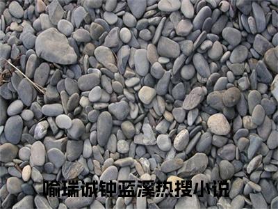 喻瑞诚钟蓝溪小说全文免费阅读无弹窗大结局_喻瑞诚钟蓝溪最新章节列表_笔趣阁