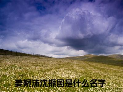 姜婉沫沈振国在线全文免费阅读姜婉沫沈振国是主角的小说