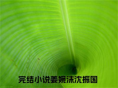 满分小说（姜婉沫沈振国）全文免费阅读 姜婉沫沈振国言情小说讲的是什么