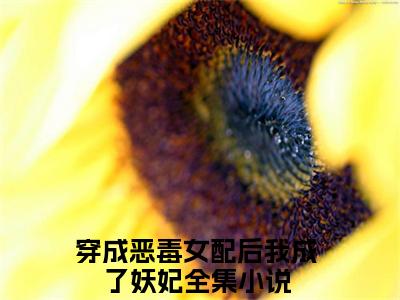 穿成恶毒女配后我成了妖妃小说全文在线赏析 孟柯小说免费阅读全文大结局