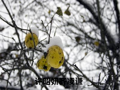 《许昭妍齐凌谦》许昭妍齐凌谦（大结局小说全集完整版）许昭妍齐凌谦小说_全文阅读笔趣阁