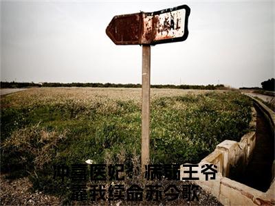 苏今歌（冲喜医妃：病弱王爷靠我续命）全文免费阅读无弹窗大结局_苏今歌最新章节列表_笔趣阁（冲喜医妃：病弱王爷靠我续命）