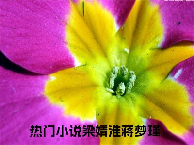 梁婧淮蒋梦瑾（梁婧淮蒋梦瑾）全文免费阅读无弹窗大结局_梁婧淮蒋梦瑾全文免费阅读（梁婧淮蒋梦瑾）最新章节列表_笔趣阁（梁婧淮蒋梦瑾）
