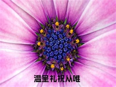 温呈礼祝从唯小说（温呈礼祝从唯最新全章节大结局）温呈礼祝从唯全文阅读