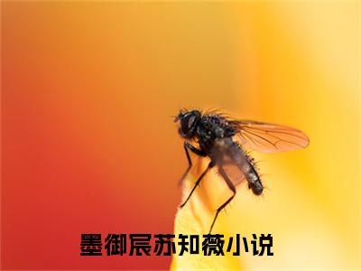 墨御宸苏知薇（墨御宸苏知薇小说全文）在线阅读-墨御宸苏知薇全文免费阅读无弹窗大结局