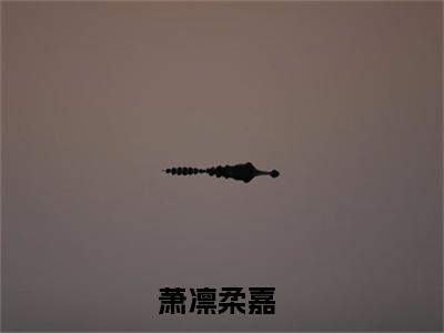 萧凛柔嘉（萧凛柔嘉全集无弹窗阅读）萧凛柔嘉已完结小说全集完整版大结局笔趣阁（萧凛柔嘉）最新章节列表_笔趣阁