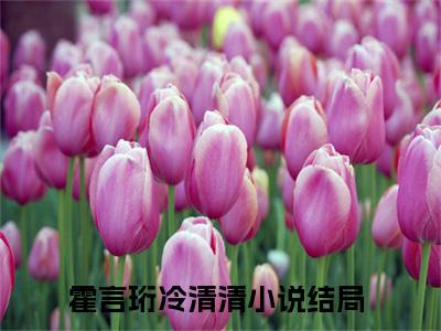 霍言珩冷清清的小说大结局免费阅读,霍言珩冷清清小说最新章节番外篇