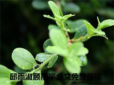 邱雨淑顾斯宇小说全文免费阅读(邱雨淑顾斯宇)全文免费阅读无弹窗大结局_ 邱雨淑顾斯宇最新章节列表_笔趣阁（邱雨淑顾斯宇小说）