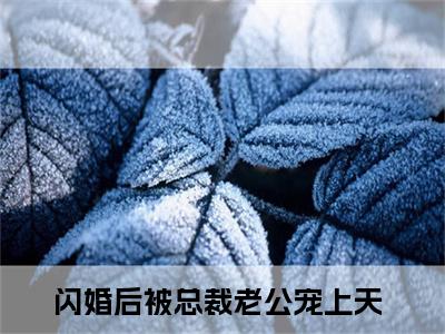 程楼姜柠小说大结局免费阅读，闪婚后被总裁老公宠上天抖音新上热文分享