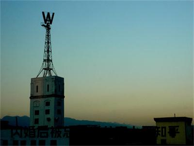 【新书】《闪婚后被总裁老公宠上天》全文免费阅读最新章节大结局-姜柠程楼 全文全章节免费阅读