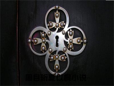 小说（周自珩夏以桐）最新章节免费阅读-（周自珩夏以桐）小说全文无删减版