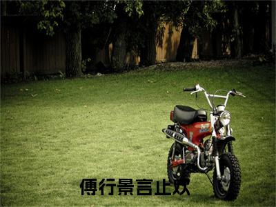 傅行景言止欢小说全文-（傅行景言止欢）精选小说傅行景言止欢大结局阅读