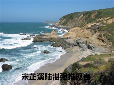 宋芷溪陆湛小说（宋芷溪陆湛）全文免费阅读无弹窗大结局_宋芷溪陆湛小说最新章节列表_笔趣阁（宋芷溪陆湛）