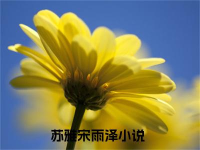 苏雅宋雨泽言情推荐小说阅读-小说《苏雅宋雨泽》苏雅宋雨泽免费阅读