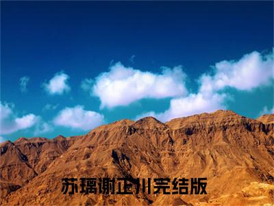 苏璃谢正川（苏璃谢正川）全文免费阅读无弹窗大结局_（苏璃谢正川）已完结全集大结局小说