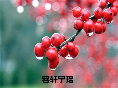 容轩宁瑶人气小说在线阅读,容轩宁瑶正版小说全文阅读