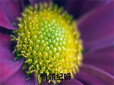 景翎纪妍（景翎纪妍免费阅读无弹窗）景翎纪妍最新章节列表_笔趣阁