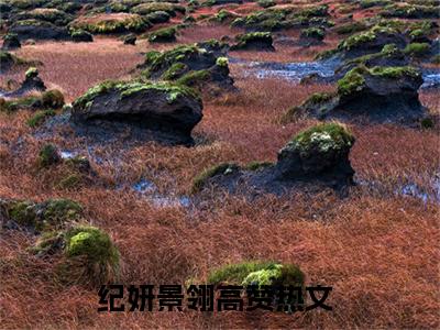 纪妍景翎免费纪妍景翎读无弹窗最新章节列表_笔趣阁（纪妍景翎）