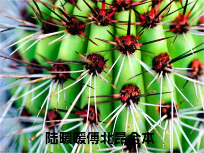 《陆暖暖傅北昂》小说好看吗-陆暖暖傅北昂最后结局如何《陆暖暖傅北昂》在线赏析全文