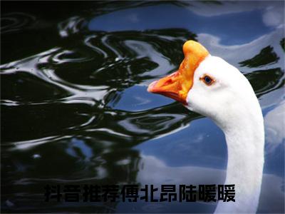 傅北昂陆暖暖全网首发小说- 傅北昂陆暖暖美文无删阅读
