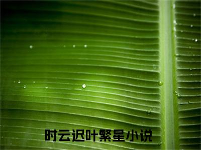 （时云迟叶繁星小说）全文免费阅读无弹窗大结局_（时云迟叶繁星阅读无弹窗）时云迟叶繁星小说章节列表