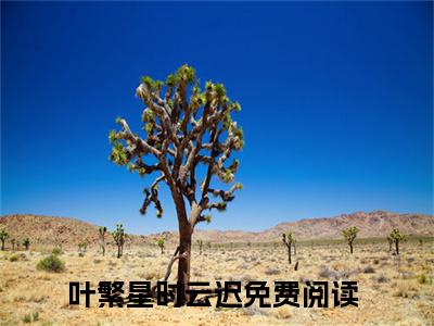 叶繁星时云迟（叶繁星时云迟）小说在线阅读_叶繁星时云迟免费阅读笔趣阁（叶繁星时云迟）