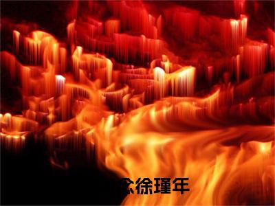 沈知念徐瑾年小说好看吗-沈知念徐瑾年热门小说大结局阅读