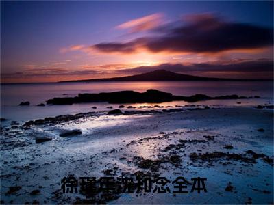 徐瑾年沈知念免费小说 徐瑾年沈知念全文阅读目录