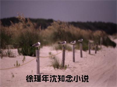 徐瑾年沈知念（徐瑾年沈知念）小说-徐瑾年沈知念最新章节免费阅读