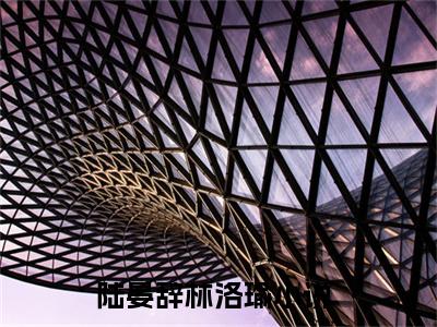 陆晏辞林洛瑜热门小说在哪免费看-小说（陆晏辞林洛瑜）完整版全文在线赏析