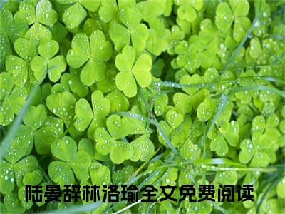陆晏辞林洛瑜（陆晏辞林洛瑜）小说完整版阅读-陆晏辞林洛瑜小说全文免费阅读