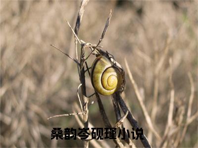 桑韵岑砚瑾小说哪里能看-小说推荐桑韵岑砚瑾精彩章节在线阅读