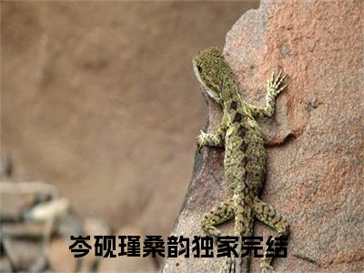 女生看的小说推荐岑砚瑾桑韵-岑砚瑾桑韵小说免费阅读