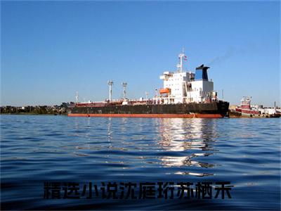 精选好书沈庭珩苏栖禾全文免费阅读无弹窗大结局_沈庭珩苏栖禾完整版全文在线赏析