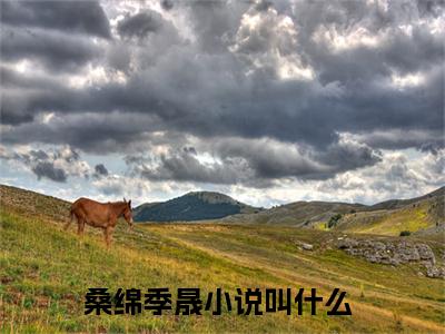 桑绵季晟(桑绵季晟)全文免费阅读无弹窗大结局_(桑绵季晟在线阅读)桑绵季晟最新章节列表笔趣阁（桑绵季晟）