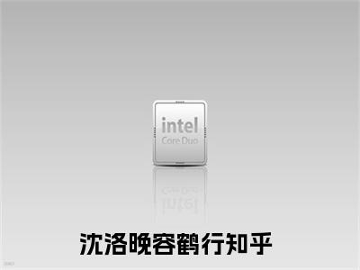 沈洛晚容鹤行小说最新试读_沈洛晚容鹤行是(沈洛晚容鹤行全文完整版免费阅读)_笔趣阁