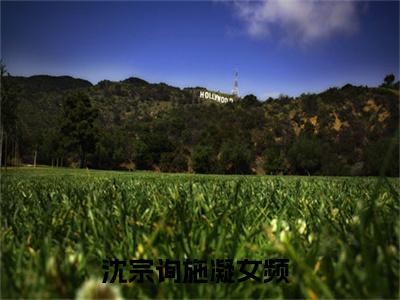 沈宗询施凝小说免费阅读-热点小说榜单推荐沈宗询施凝