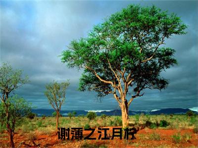 谢薄之江月柠精选小说大结局阅读_谢薄之江月柠免费阅读最新章节列表