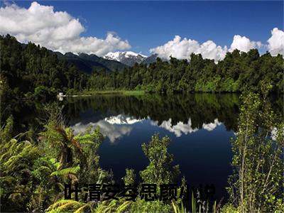 叶清安岑思颜在线全文免费阅读叶清安岑思颜是主角的小说