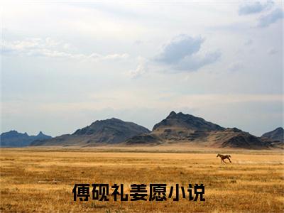 傅砚礼姜愿（傅砚礼姜愿免费小说）全文免费阅读无弹窗大结局_傅砚礼姜愿最新章节列表_笔趣阁（傅砚礼姜愿小说）