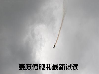 2023年爆款小说（姜愿傅砚礼）主角姜愿傅砚礼全文在线完本阅读