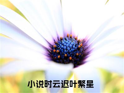 时云迟叶繁星全文免费阅读无弹窗大结局_时云迟叶繁星无弹窗全文阅读