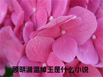 顾明渊温绰玉（顾明渊温绰玉）全文免费阅读最新章节大结局_顾明渊温绰玉最新章节列表_笔趣阁