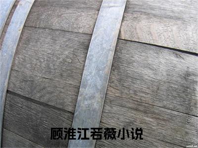 顾淮江若薇(顾淮江若薇)全文免费阅读无弹窗大结局_顾淮江若薇免费阅读最新章节列表_笔趣阁（顾淮江若薇）